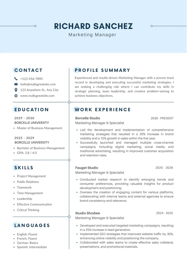 Full-page preview of the Classic Professional resume template layout