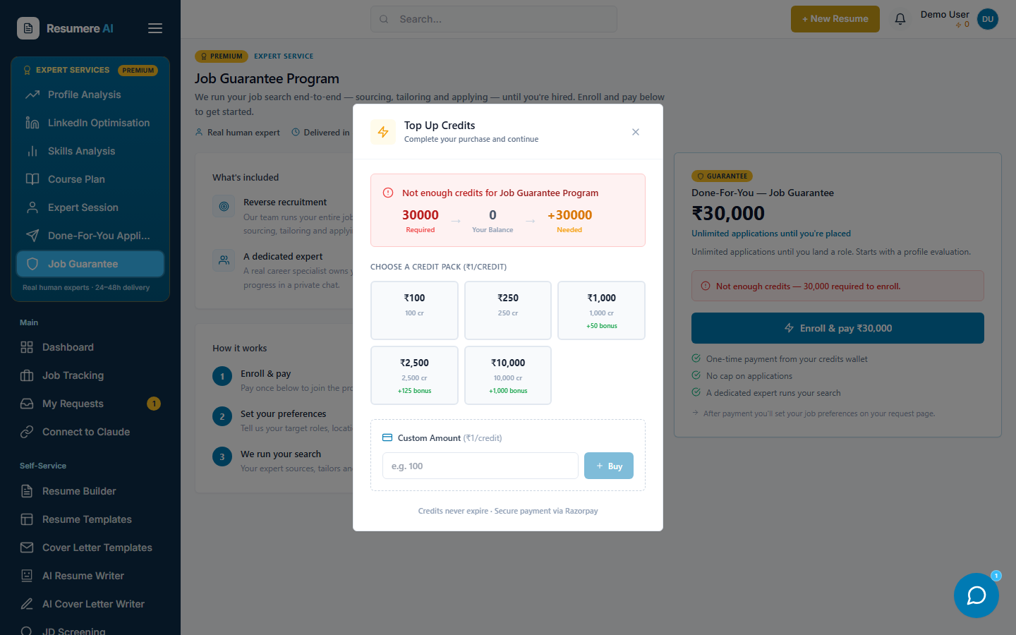 The Buy Credits window showing the amount required and payment options