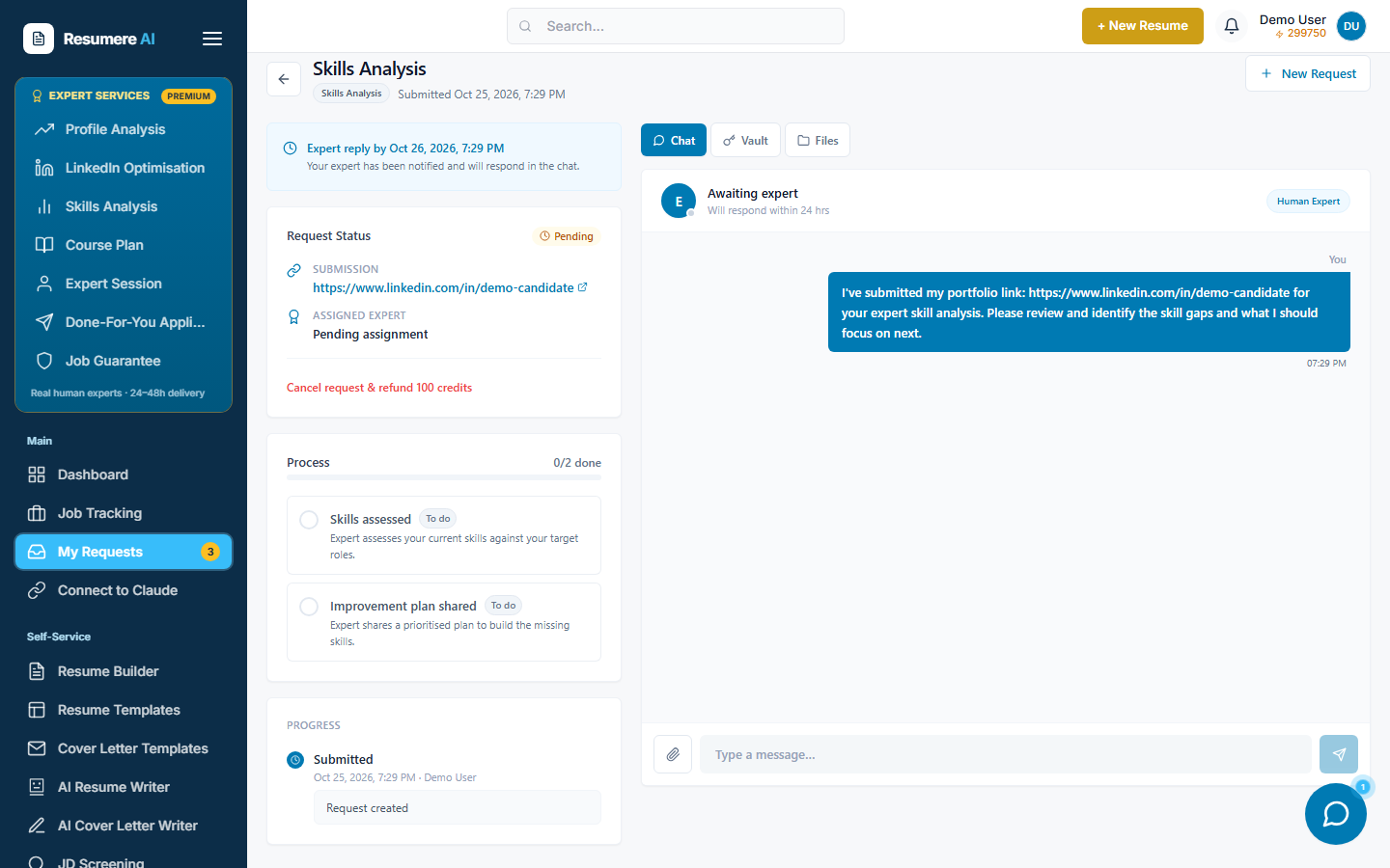 The Skills Analysis request page with status, process checklist and the expert chat